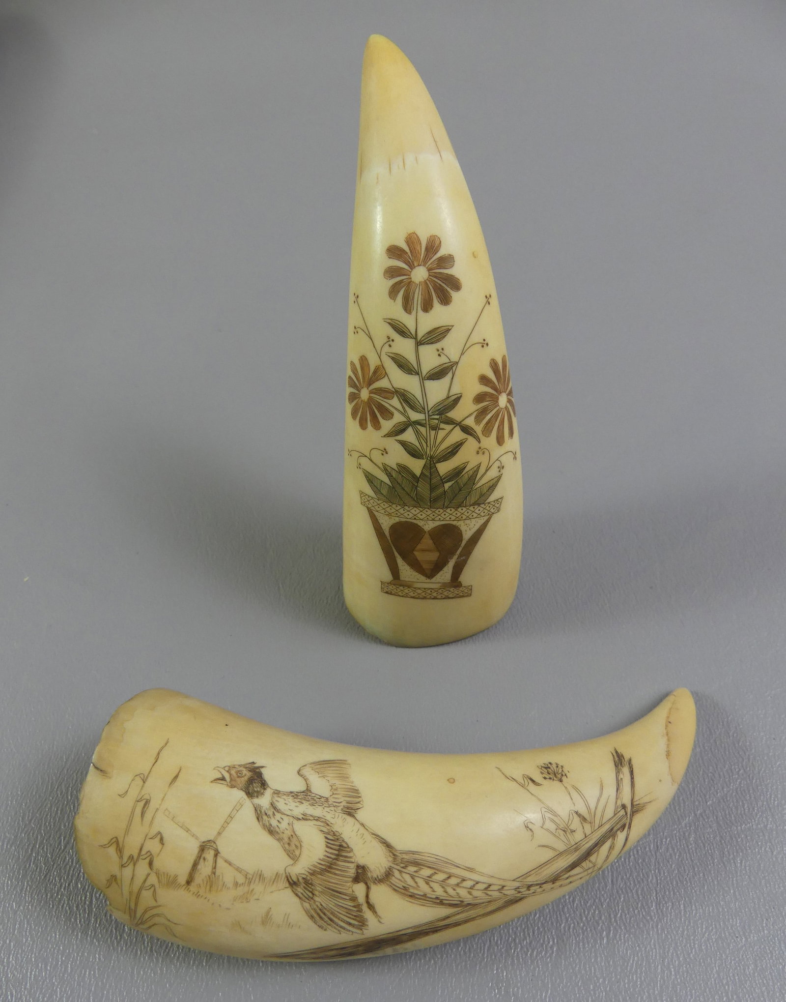 2 SCRIMSHAW WHALE TEETH: Lot of 2 whale teeth to 4.5 in long: colored scrimshaw of flowers in an urn signed R. Spring '77; and pheasant and windmill signed Edith Ann, June '72. Total 7.7 oz.