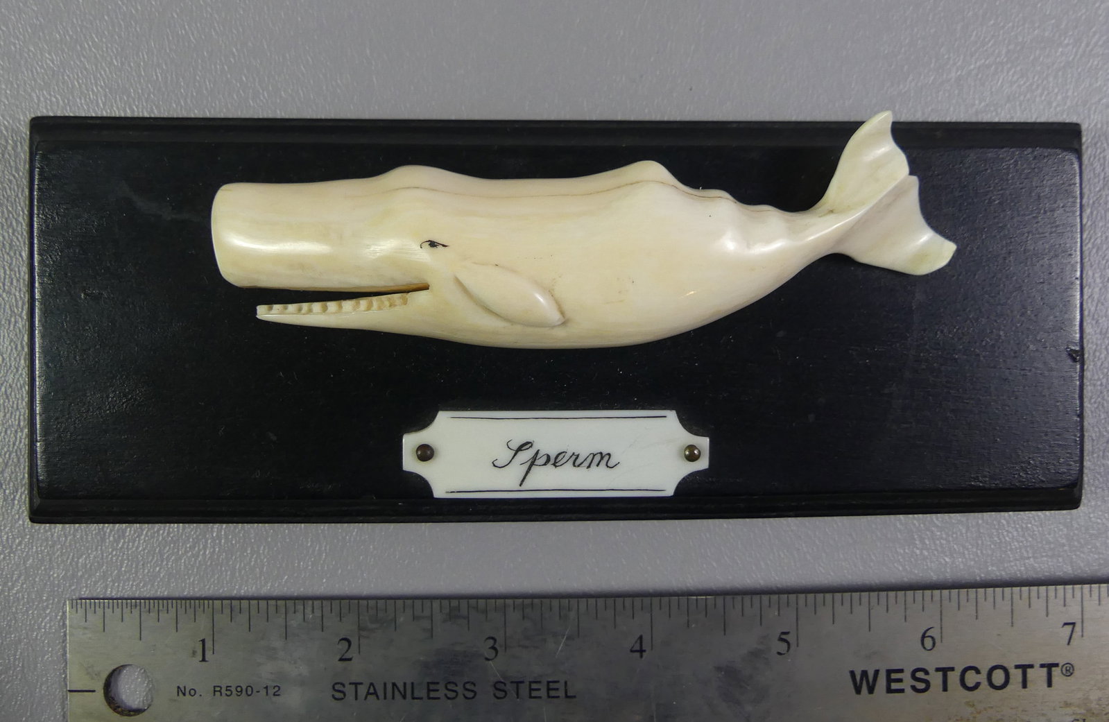 CARVED BONE WHALE CARVING: Fine small 19th century carved whale tooth in form of a sperm whale, mounted on wooden 7 inch plaque. Whale is 4.5 in by 1 inch high. Unsigned
