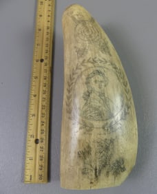 29 OZ. WHALE TOOTH - KING & PIRATE