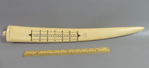 WALRUS TUSK CRIBBAGE BOARD