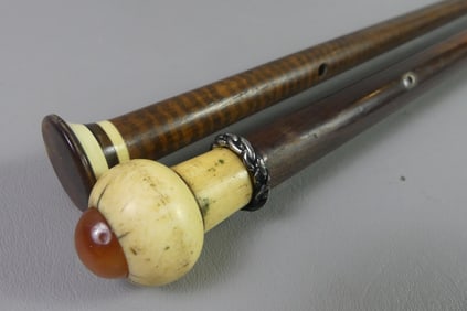 2 ANTIQUE CANES - GEMSTONE & BONE
