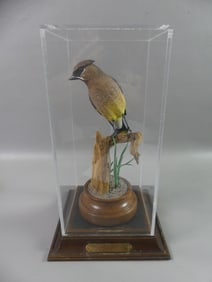 WARD HERRMANN WAXWING BIRD CARVING