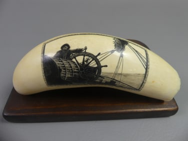 WHALE TOOTH - SEA CAPTAIN BY FORD
