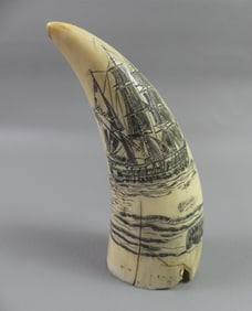 WHALE TOOTH - WHALING BY BEATTIE