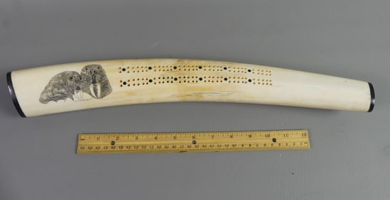 SCRIMSHAW WALRUS TUSK CRIBBAGE BOARD