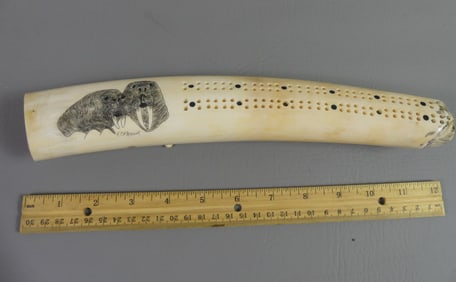 SCRIMSHAW WALRUS TUSK CRIBBAGE BOARD