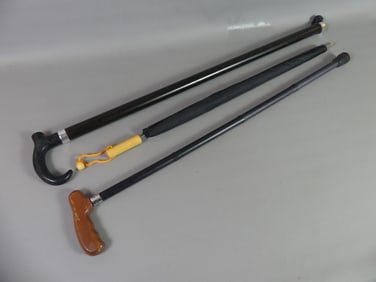 2 GADGET CANES - UMBRELLA & FOLDING