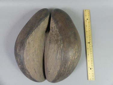 COCO DE MER DOUBLE SHELL BOWL