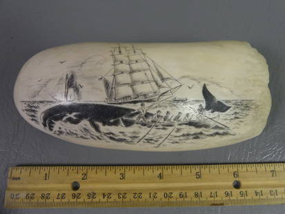 WHALE TOOTH - WHALING SCENE - MACY: Large whale tooth with scrimshaw of a whaling scene with 6 men in longboat. 22 oz, 7 in x 2.5 inches. Back has incised name MACY.