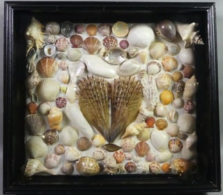 FRAMED SEASHELL DISPLAY BOX