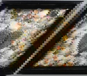 FRAMED SEASHELL DISPLAY BOX: Old shadowbox frame set with various colorful seashells. 19 x 21 in by 3.5 in deep. Good condition.