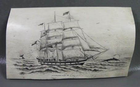 SCRIMSHAW PAN BONE 1894 SHIP