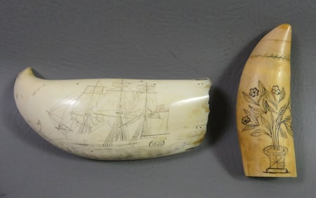 2 SCRIMSHAW WHALE TEETH