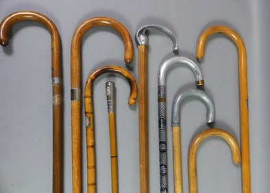 9 CHICAGO WORLD FAIR CANES
