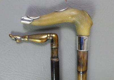2 CANES: HORSESHOES & LADY'S LEG
