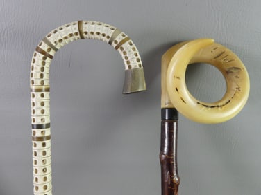 2 CANES: SHARK VERTEBRAE & RAM HORN