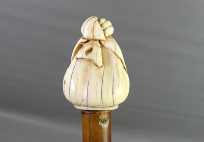 ASIAN EGGPLANT WALKING STICK