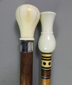INLAID WALKING STICK & BONE CANE