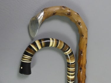 2 SHEPHERD HOOK CANES