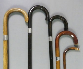 5 BROWN UNIVERSITY CANES