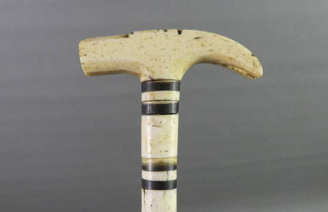 WHALEBONE SHIP CARPENTER CANE: Unusual all-whalebone sailor-made ship's carpenter cane with 3.5 in handle in the form of a hammer. There are 4 baleen strips on the collar. 37 in long.