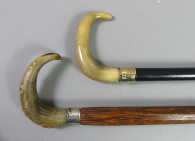 2 ANIMAL HORN CANES