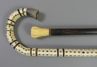 2 CANES: SHARK & BONE KNOB