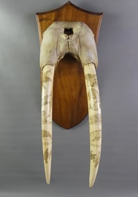 PAIR 1873 SCRIMSHAW WALRUS TUSKS