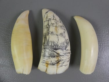 3 WHALE TEETH - 1 SCRIMSHAW SHIP