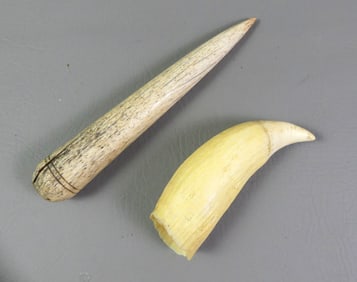 WHALEBONE FID & RAW TOOTH