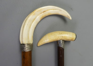 2 CANES: WHALE TOOTH & HOG TUSK