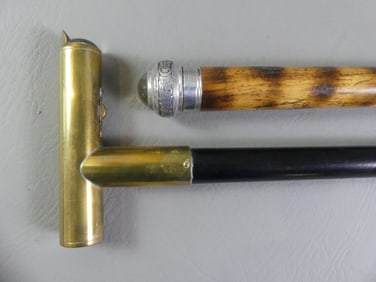 2 FLASHLIGHT CANES