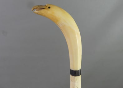 WHALEBONE CANE WITH BIRD