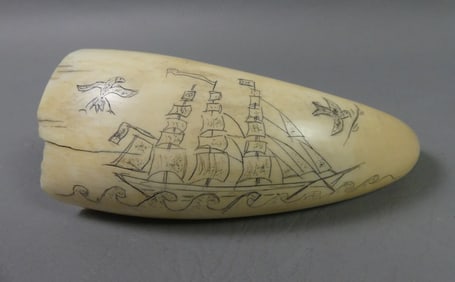 WHALE TOOTH - SCRIMSHAW SHIP