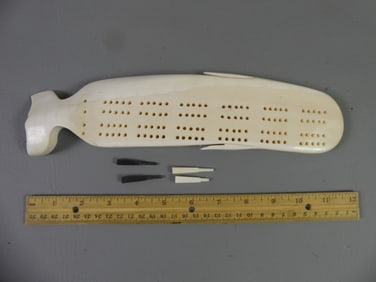 WALRUS TUSK CRIBBAGE BOARD