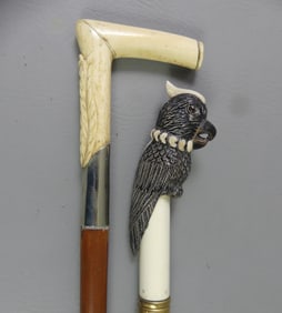 2 CANES: PARROT & CARVED BONE