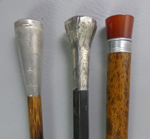 3 CANES: FLASHLIGHT & SILVER