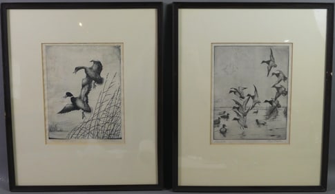 PAIR F. BODE DUCK ETCHINGS
