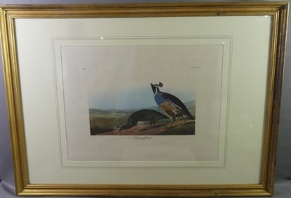 JJ AUDUBON PRINT - CALIFORNIAN PARTRIDGE