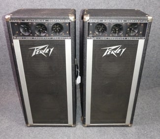 PR. PEAVEY T-300 SPEAKERS
