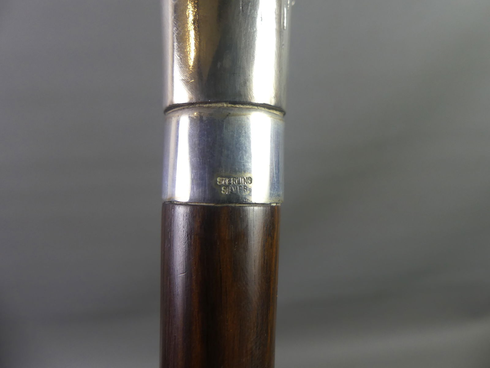 SILVER CANE - DOG CHASING BIRD - 4