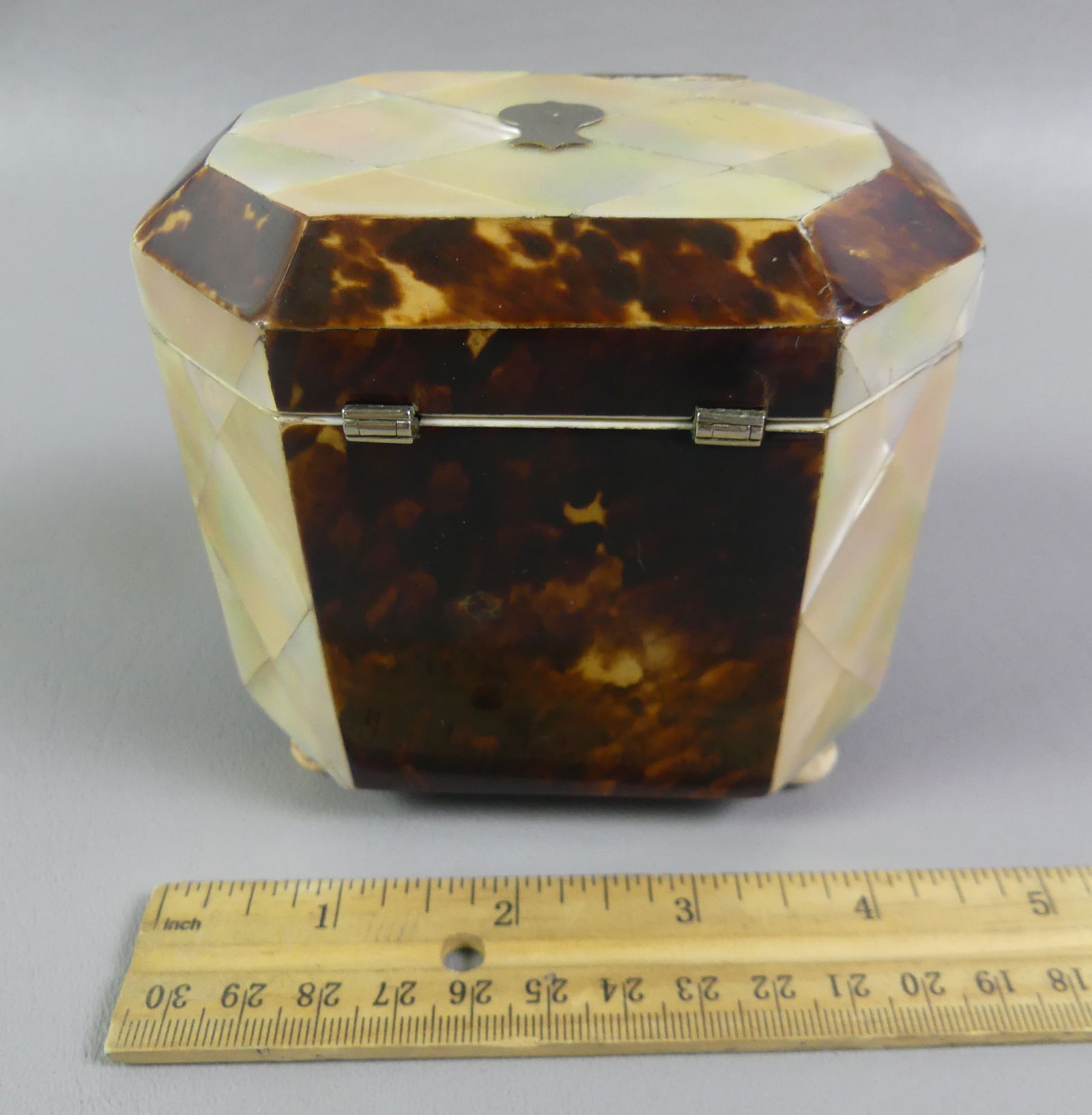 REGENCY PERIOD SHELL & ABALONE DOUBLE TEA CADDY - 2