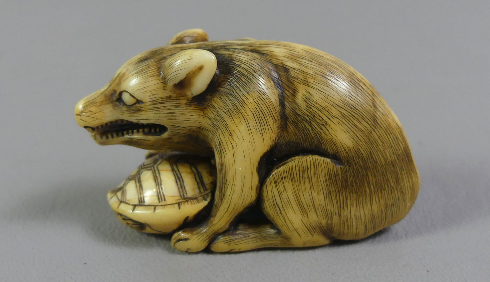 JAPANESE NETSUKE - POSSUM & TURTLE: Antique Japanese netsuke / mini figurine depicting a possum holding a turtle. Signed. 2 x 1.75 x .75 inches. Ex-collection of Andrew C. Ware. NOTE: We can ship this item in-house.