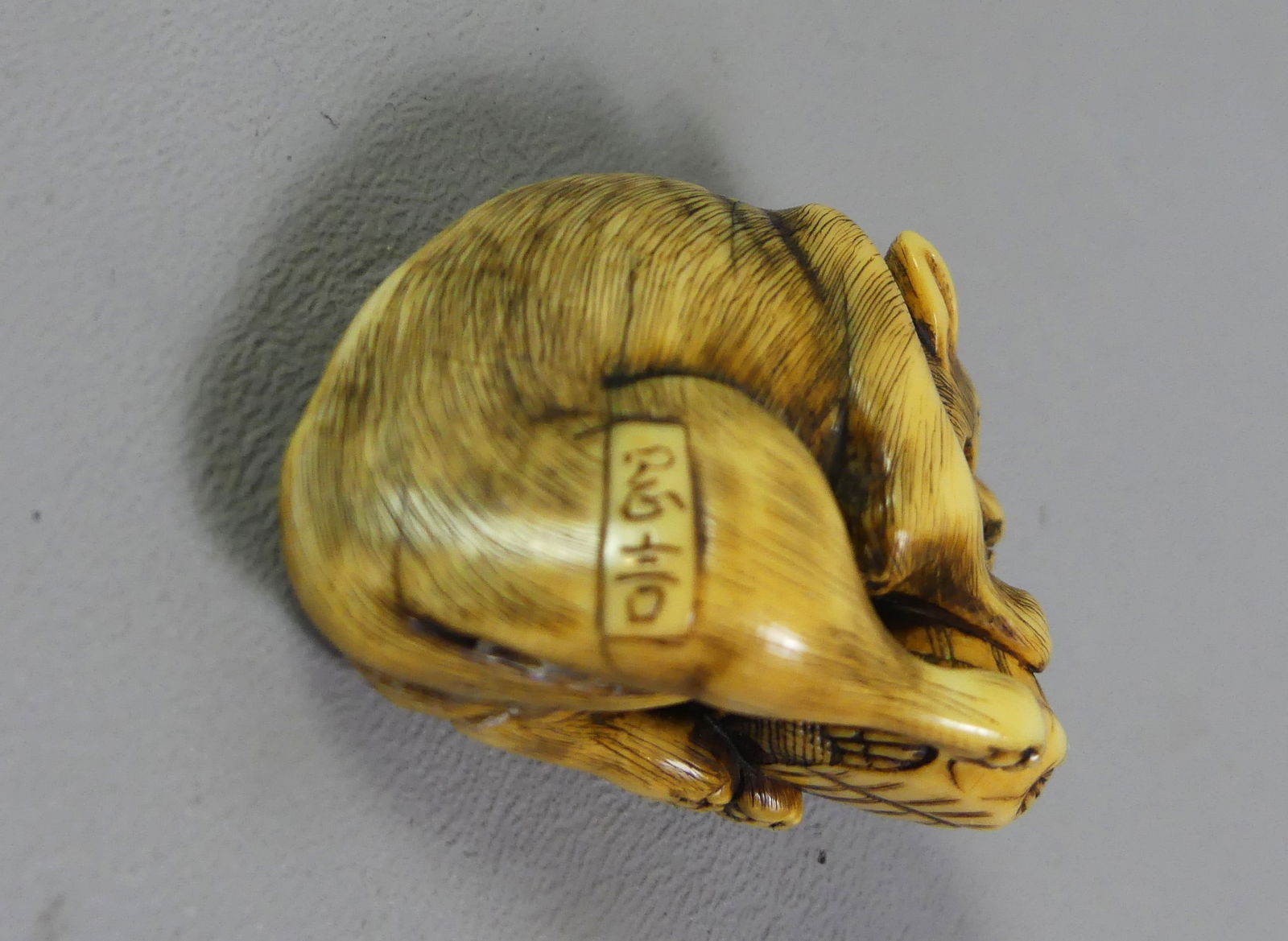 JAPANESE NETSUKE - POSSUM & TURTLE - 3