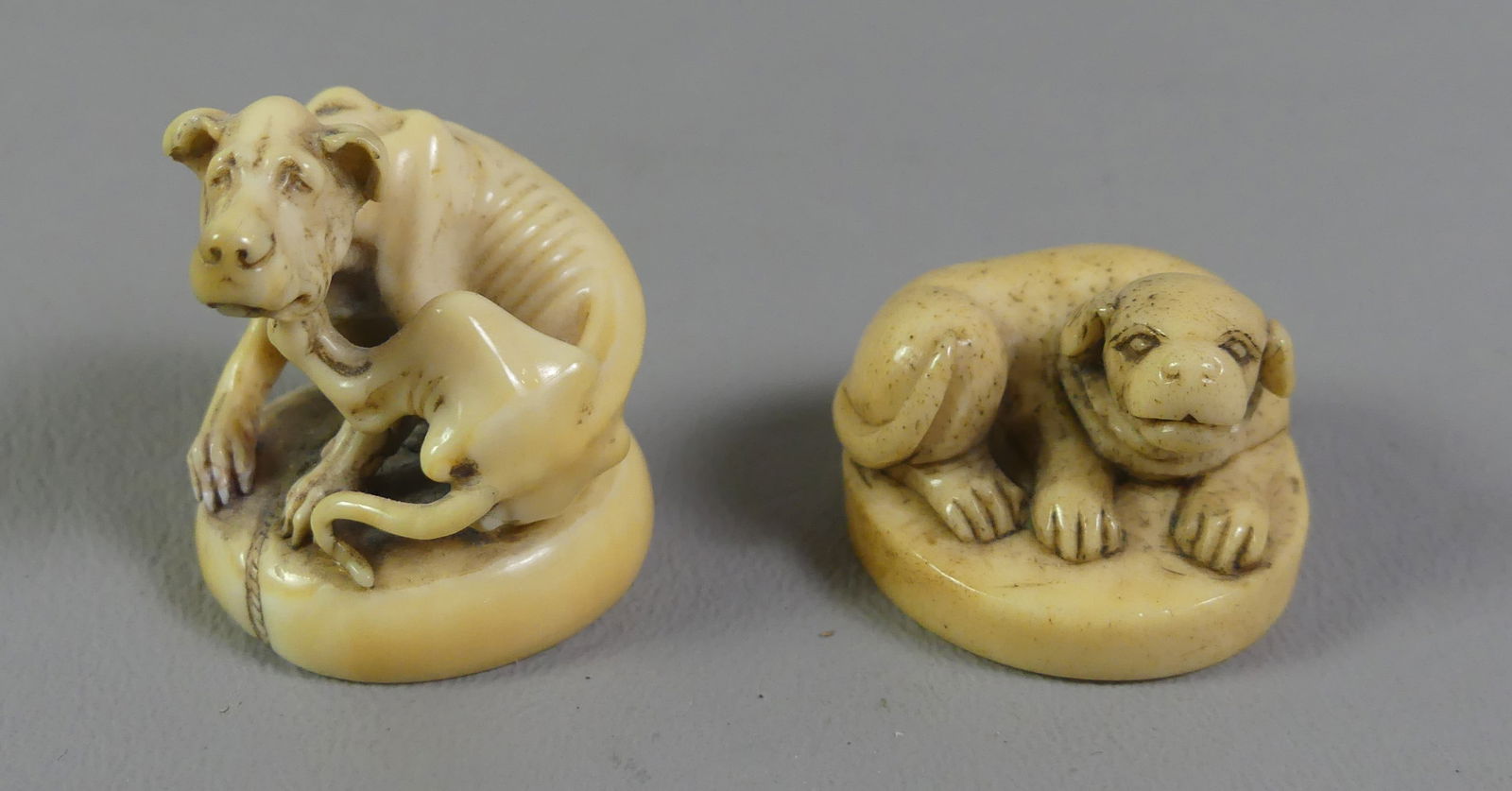 2 JAPANESE NETSUKES - DOGS: Lot of 2 antique Japanese netsukes of dogs: an emaciated dog 1.25 x 1 in; and curled up dog 1 x .75 inches. Both unsigned. Ex-collection of Andrew C. Ware. NOTE: We can ship this item in-house.
