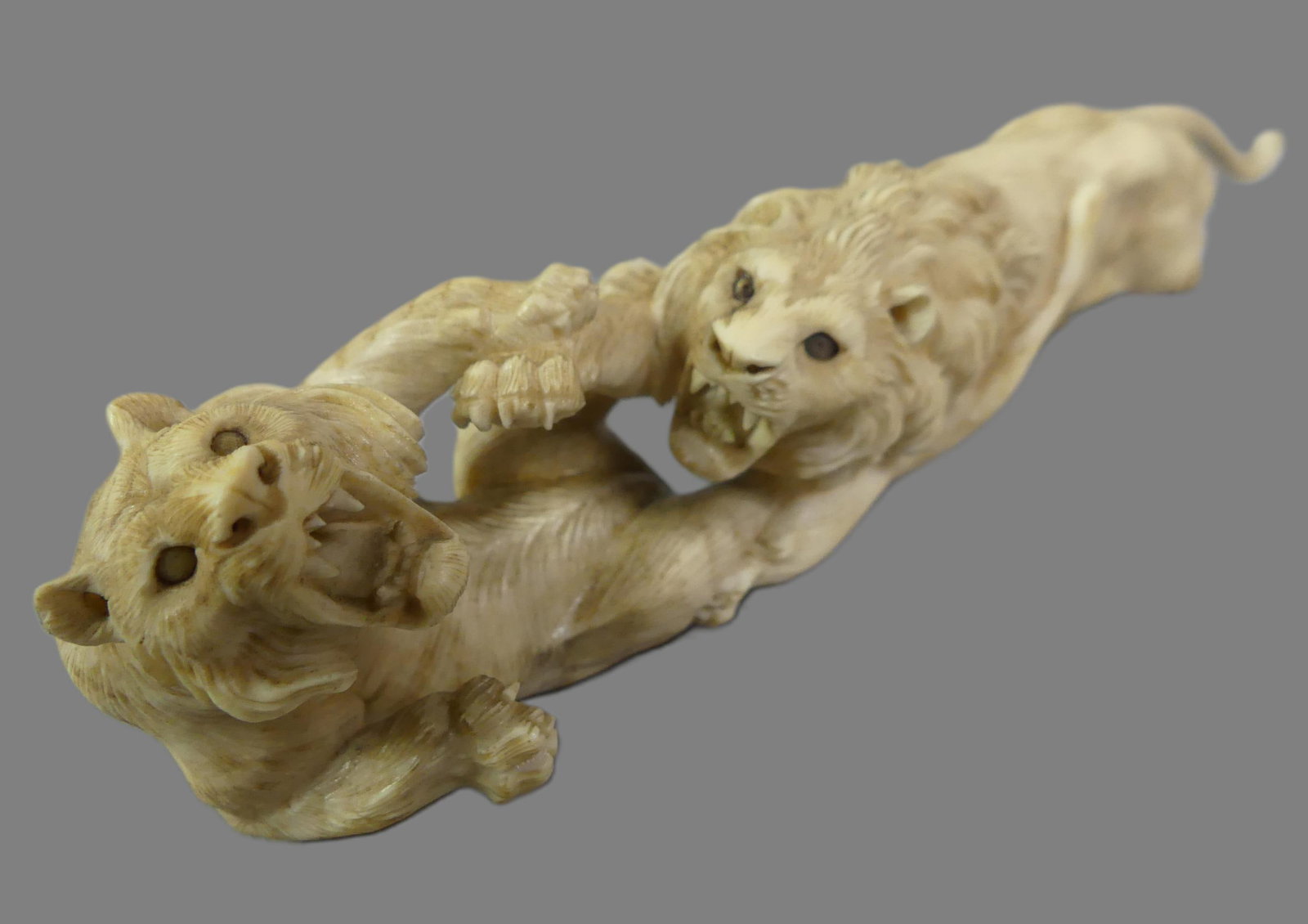 FINE CARVED FIGURE - FIGHTING LIONS: 19th century Japanese Meiji period finely carved figure of 2 fighting lions. 6.5 in long x 2 in high. Excellent condition, unsigned. Note: We can ship this in-house.