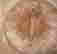 item-127909326=7