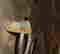 item-127909359=7