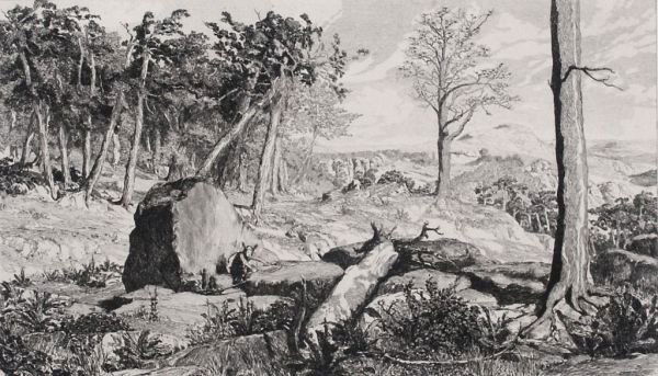 Max Klinger "Simplicissimus in the forest wastela: Max Klinger "Simplicissimus in the forest wasteland". 1881. Etching. Signed on plate, numbered: X. Sheet 10 from the cycle "Intermezzi".Minimal mouldy, water spots. Slight tear, minor crinkles. size: