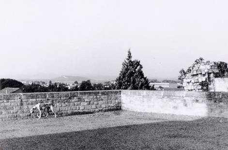 Sibylle Bergemann "Arles". 1987.: Sibylle Bergemann "Arles". 1987. Silver gelatine print. Verso u.re. in Faserstift betitelt, datiert und signiert. Unscheinbare Randläsionen. Verso minimal fleckig. size: 29,5 x 44,5 cm, Fotokarton 33